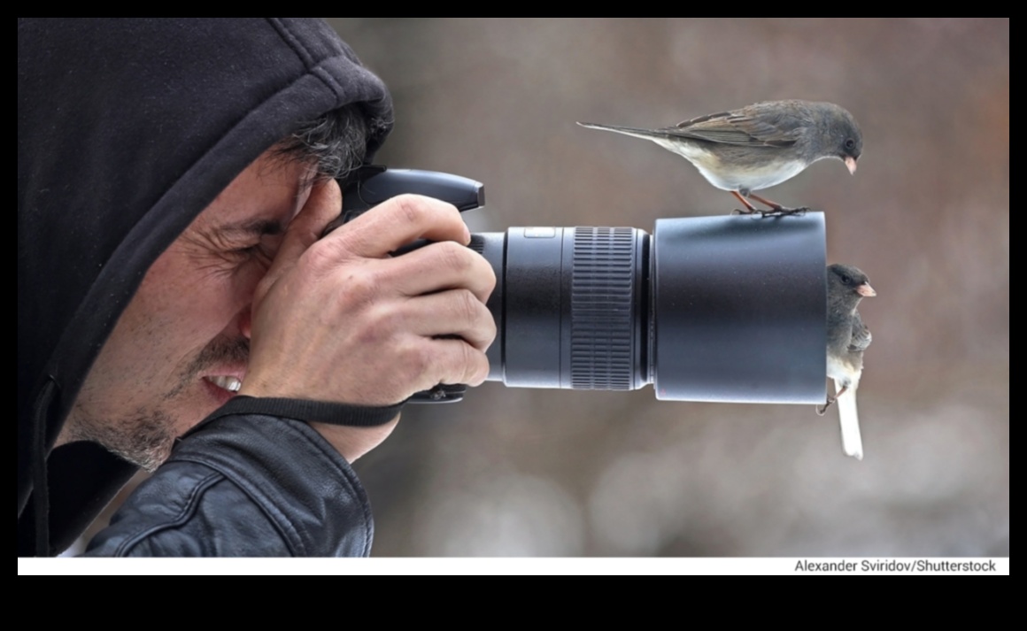 Kuş Gözlemleme Tüyoları: Gelişmiş Kuş Gözlem Deneyimi için İpuçları ve Püf Noktaları