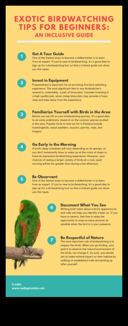 Kuş Gözlemleme Tüyoları: Gelişmiş Kuş Gözlem Deneyimi için İpuçları ve Püf Noktaları