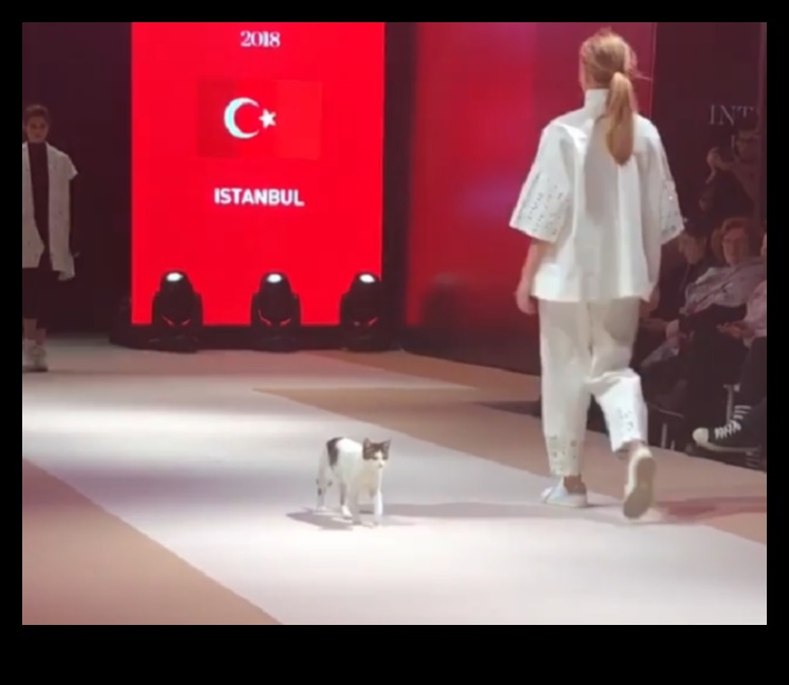 Feline Fashion Show: Son Moda Kediler için Şık Kıyafetler