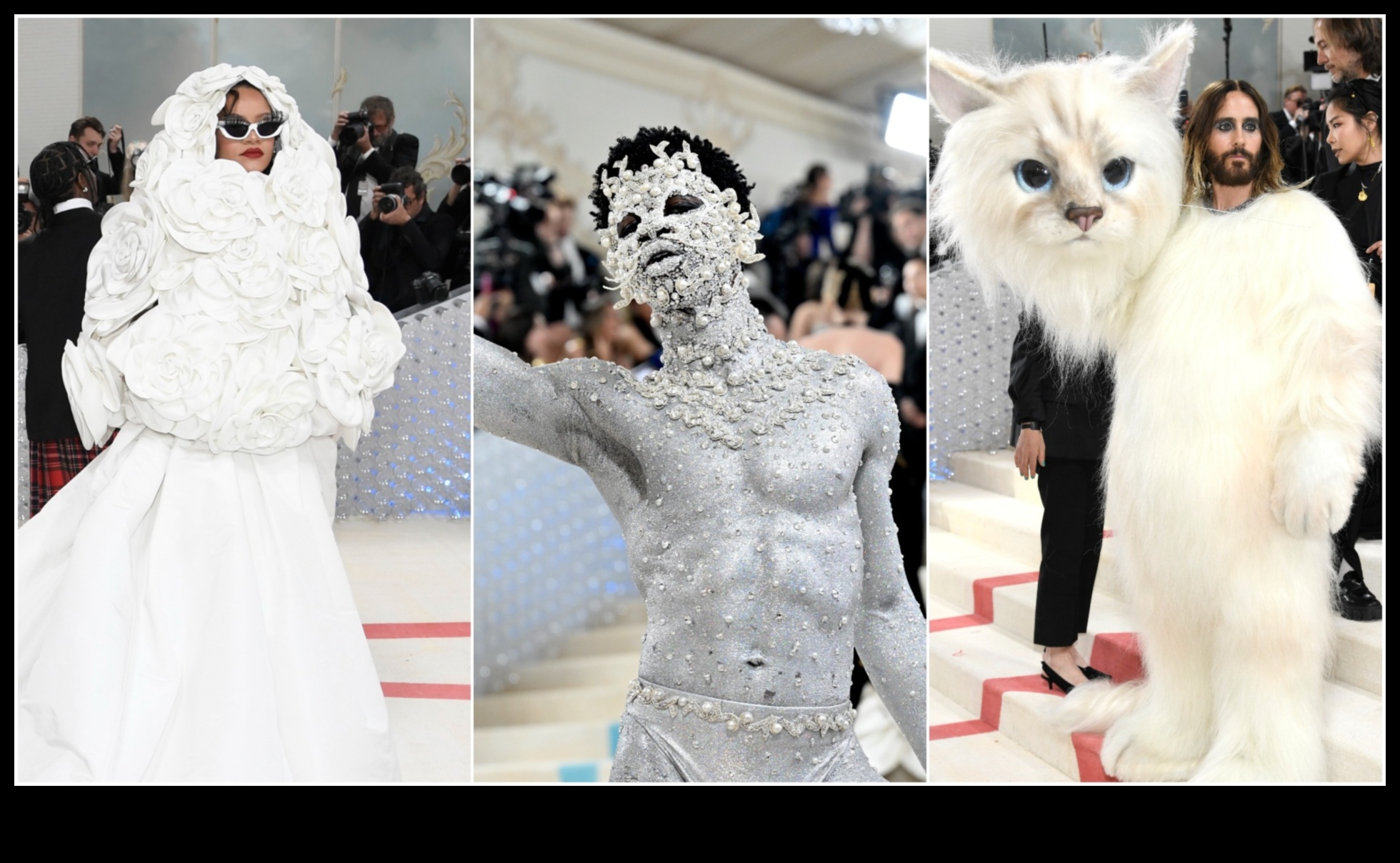 Feline Fashion Show: Son Moda Kediler için Şık Kıyafetler