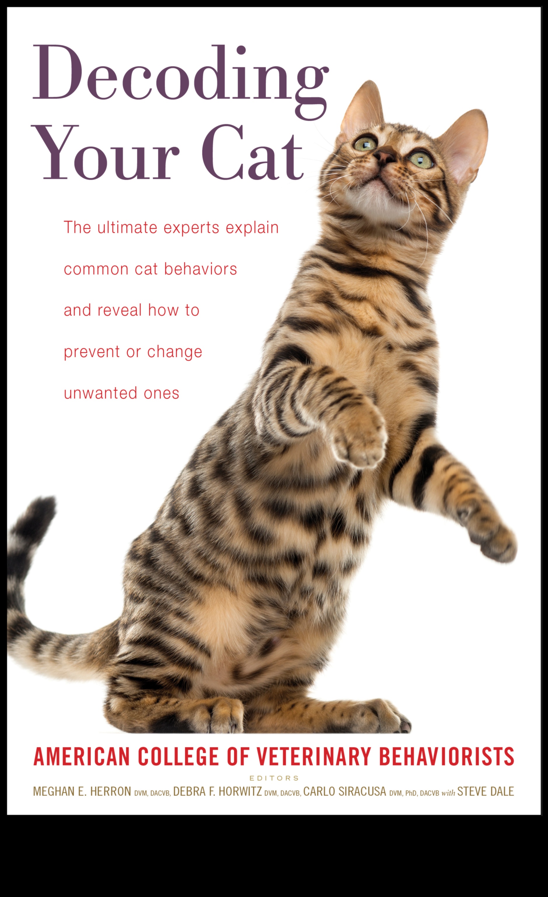 Çöpün Dili Devamı: Kedi Banyo Davranışlarını Çözmek