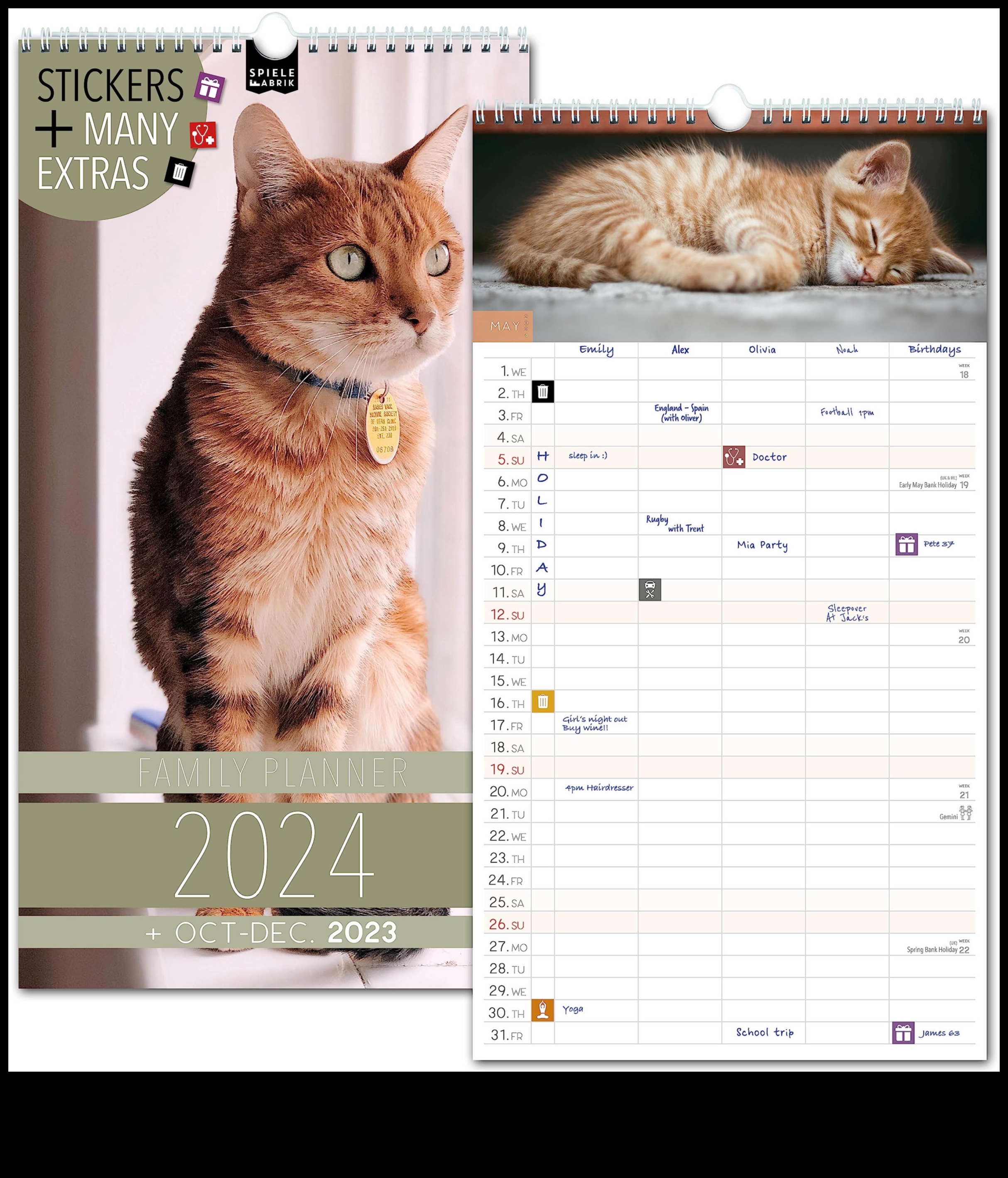 Kedi Takvimi: Kedi Merkezli Etkinlikleri ve Tatilleri Planlamak