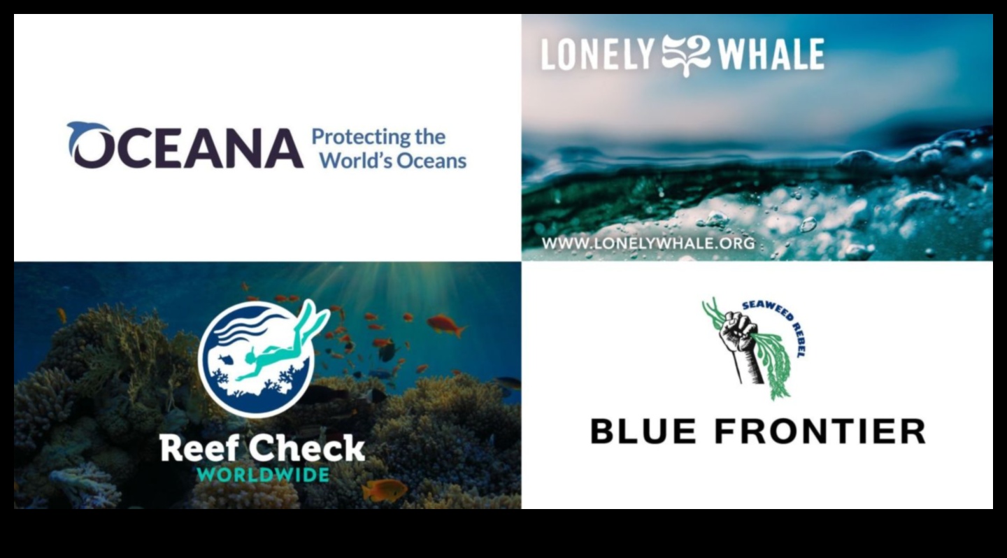 Kıyı Koruma Savaşçıları: Deniz Ekosistemlerini Koruma Çabaları