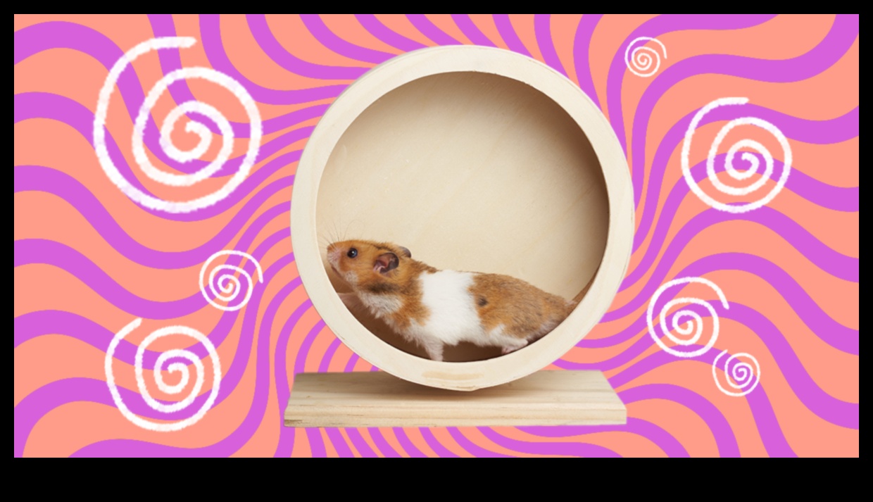 Hamster Çarkı Alternatifleri: Egzersiz Seçeneklerinin Çeşitlendirilmesi
