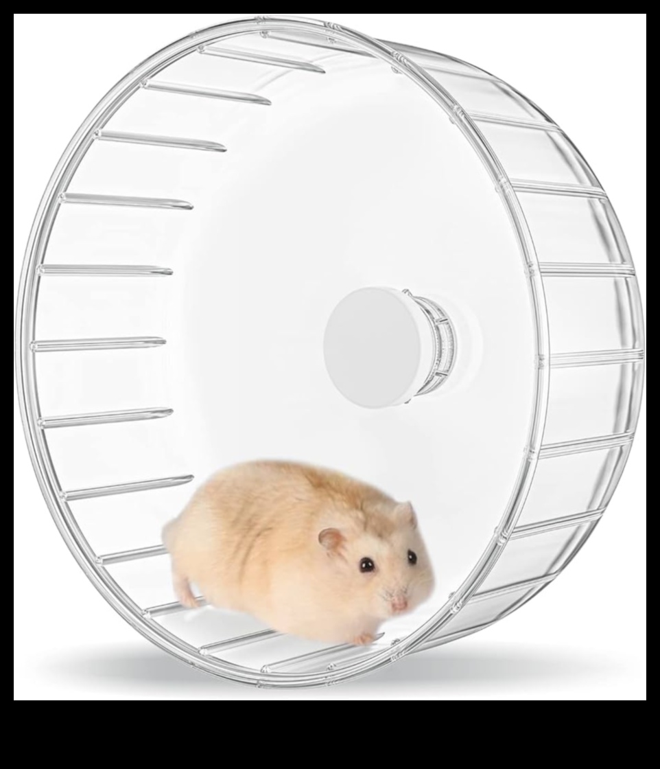 Hamster Çarkı Alternatifleri: Egzersiz Seçeneklerinin Çeşitlendirilmesi