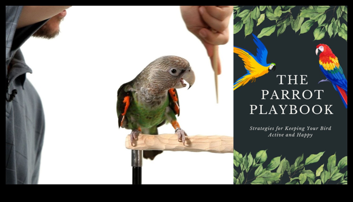 Papağan Oyun Buluşmaları: Evcil Kuşlar için Sosyal Etkileşimi Beslemek
