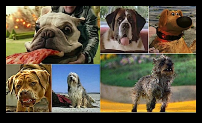 Tüylü Dostlar Filmde: Sinema Tarihinin İkonik Köpekleri