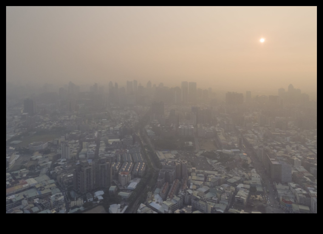 Kirliliğin kentsel peyzaj üzerindeki etkisi nedir?