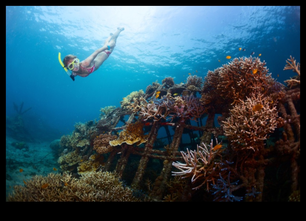Kıyı Koruma Savaşçıları: Deniz Ekosistemlerini Koruma Çabaları