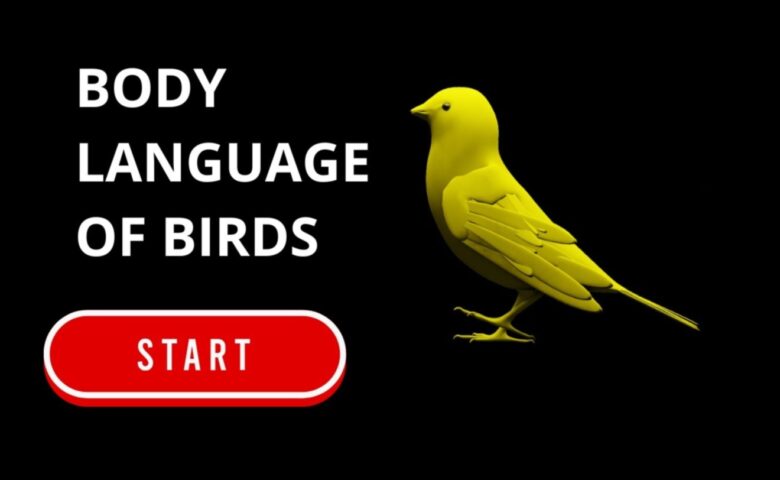 Kuşların Dili Kuşların İletişimini Çözüyor
