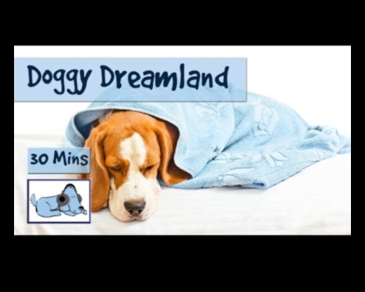 Doggy Dreamland: Rahat bir uyku alanı yaratmak