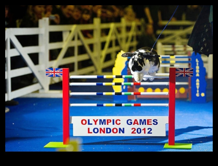 Bunny Olimpiyatları: Tavşanlar için Eğlence ve Oyunlar