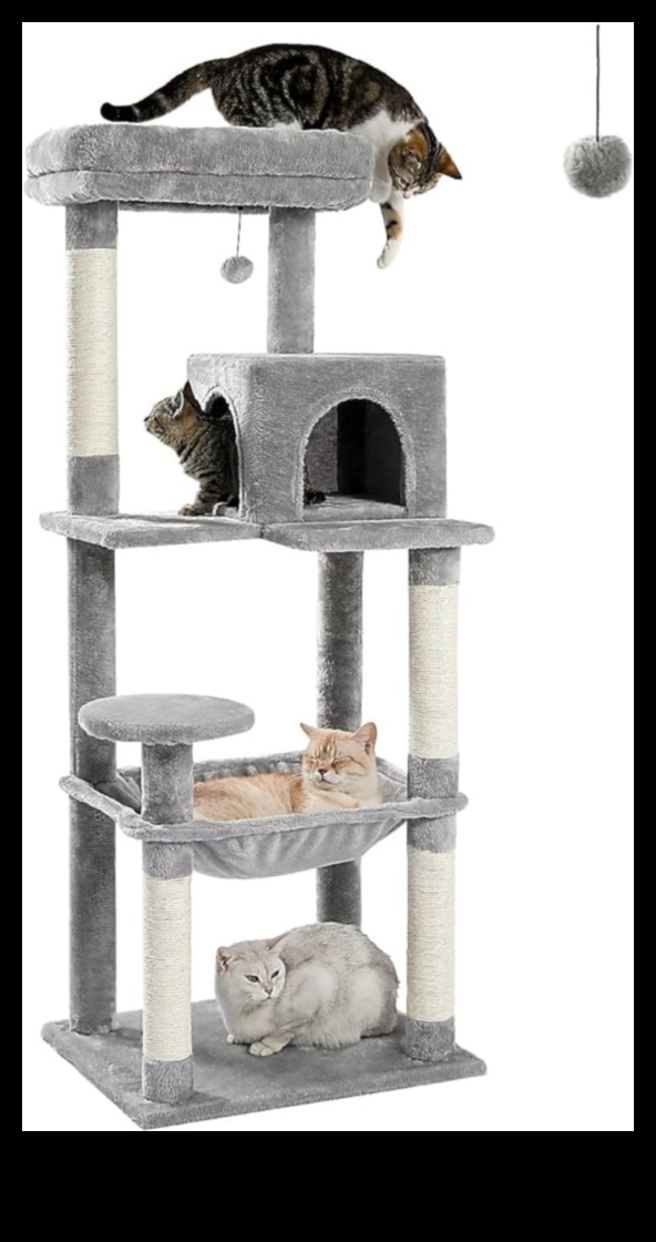 CAT Condos Devam: Dikey keşif için yükseltilmiş yapılar