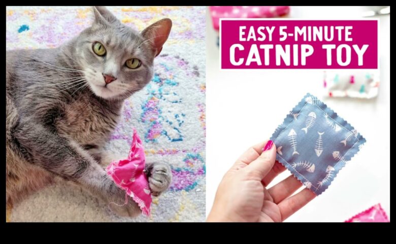 Catnip Catnip ile İnfüzyonlu Diy oyuncakları yapan catnip el sanatları